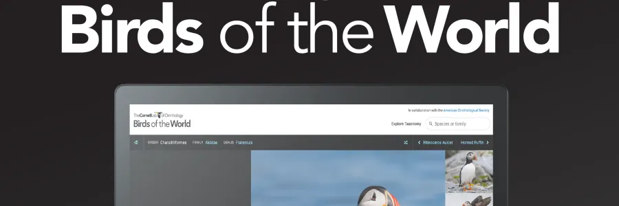 Graphic announcing the August e-resource for the month, birds of the world