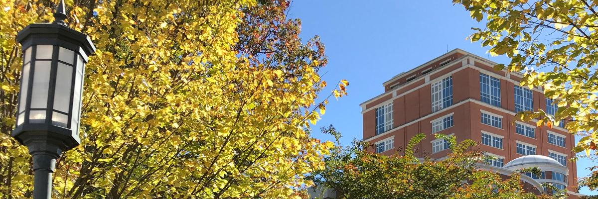 https://library.uncc.edu/sites/default/files/image/MiniHero_atkinsthrutrees.jpg