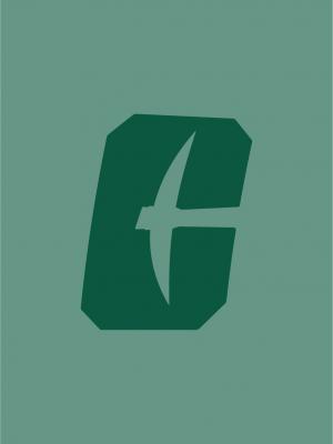 Icon13