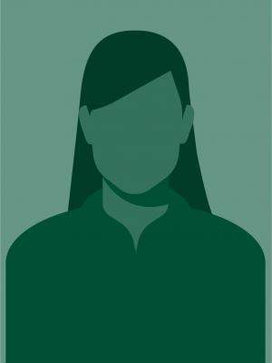 Icon 4
